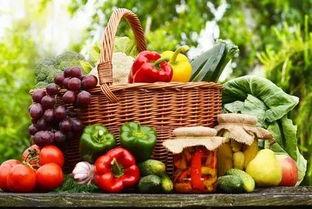 每日吃瓜大赛入口汇聚地,汇聚地揭秘，瓜界风云再起